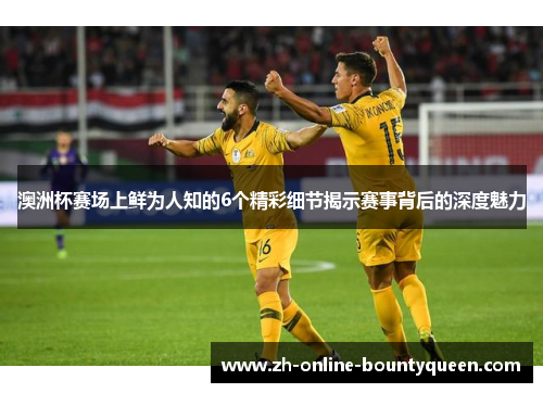 澳洲杯赛场上鲜为人知的6个精彩细节揭示赛事背后的深度魅力