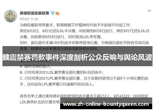 魏震禁赛罚款事件深度剖析公众反响与舆论风波